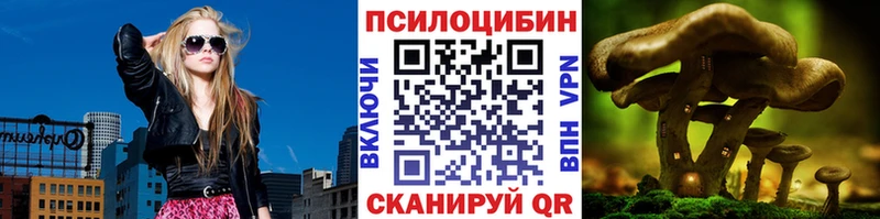 Галлюциногенные грибы GOLDEN TEACHER  OMG как войти  Избербаш 