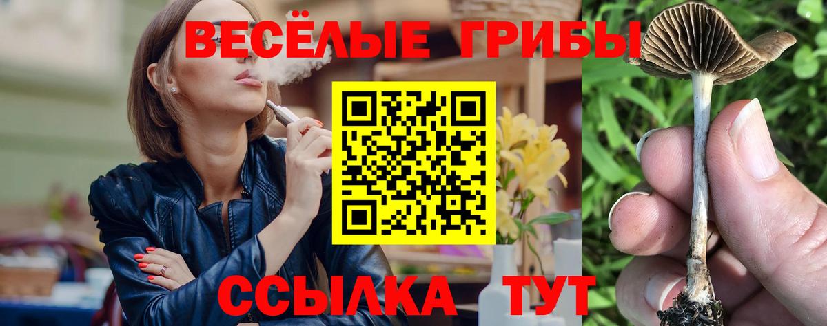 Псилоцибиновые грибы мицелий  Вход с VPN  Избербаш 